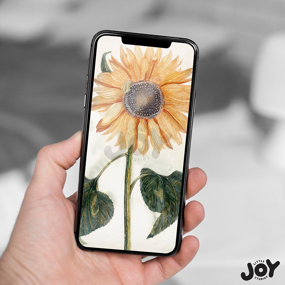 Sun Flower Painting - Mobile Wallpaper